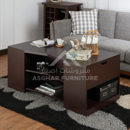 Contemporary Open Storage Coffee Table